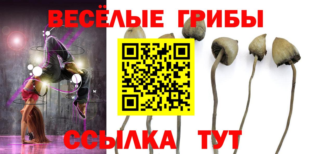 Сочи  Галлюциногенные грибы Cubensis  Вход с VPN 